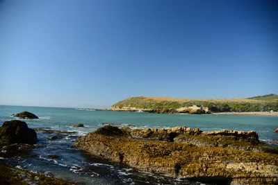 DSC_2602 (Large).JPG